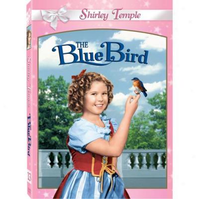 Shirley Temple: The Blue Bird (full Frame)