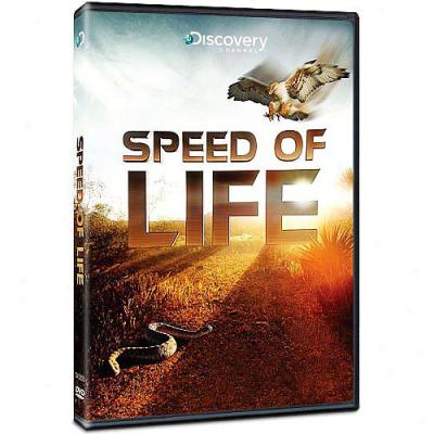 Speed Of Life (full Frame)