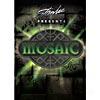 Stan Lee Presents: Mosaic (widescreen)