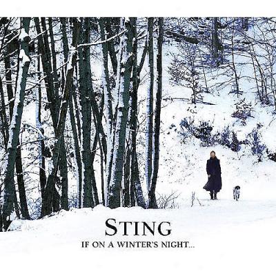 Sting: A Winter's Night... Live From Durham Cathedral (widescreen)