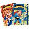 Superman: The Animated Series Vol. 1 & 2 (full Frame)