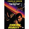 Terminal Velocity