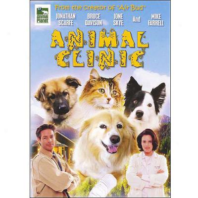 hTe Animal Clinic