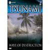 Tsunami: Wave Of Destruction