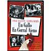 Un Gallo En Corral Ajeno (spanish)