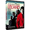 United States Of Leland, The (widescreen)