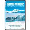 Untamed Antarctic World Of Luc Jacquet (widescreen)