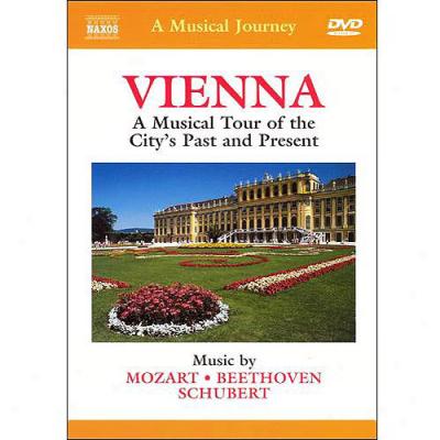 Vienna: A Musical Tour Of The City's Past And Present