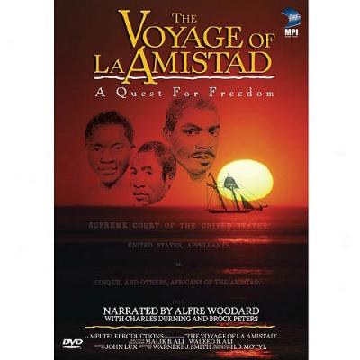 Voyage Of La Amistad: A Quest For Freedom