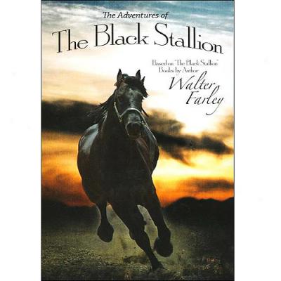 Walter Falrey Collector Set: The Adventures Of The Black Stallion (with Mozart In The Rain Cd)