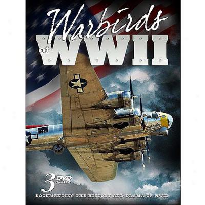 Warbirds Of Wwii/