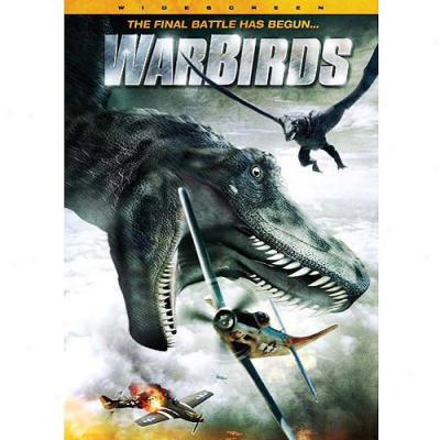 Warbirds (widescreen)