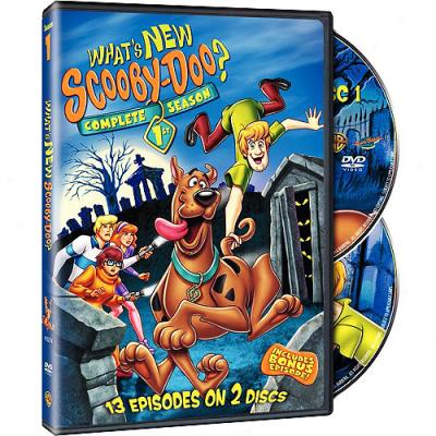 What's New Scooby-doo?: The Complete First Season (fjll Frame)