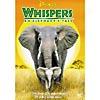 Whispers: An Elephant's Twle (full Frane)