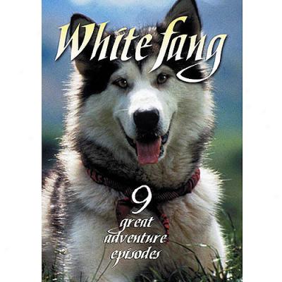 White Fang: Volume 1