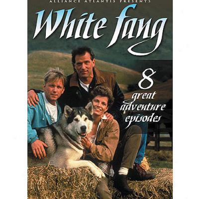 White Fang: Volume 2