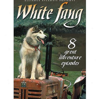 White Fang: Volume 3