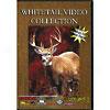 Whitetail Video Collection, Vol.2