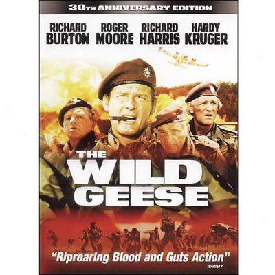 Wild Geese