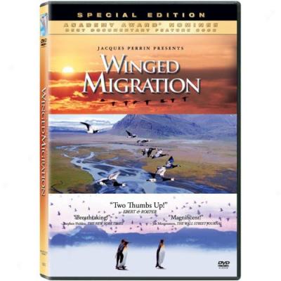 Winged Migration (widescreen)