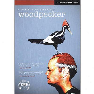 Woodpecker