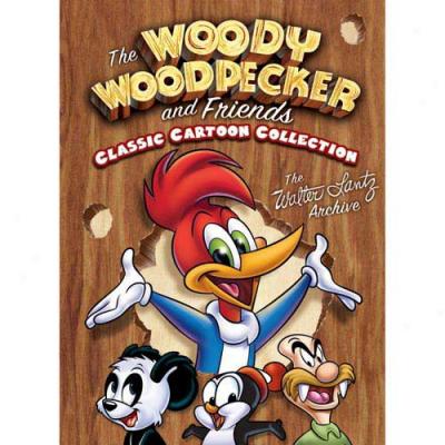 Woody Woodpecker And Friends Classic Collection (full Frame)