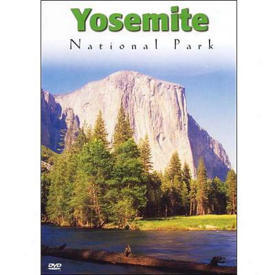 Yosemite National Park (Exactly Frame)