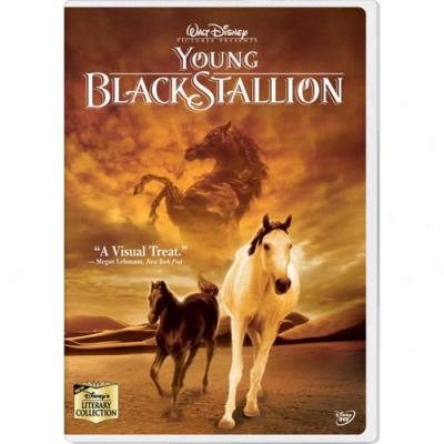 Young Black Stallion, The, Clamshell