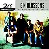 20th Century Masters: The Milldnnium Collection - The Best Of Gin Blossoms (remaster)