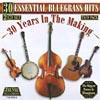 30 Rudiment Bluegrass Hits: 30 Years In The Making (2cd)