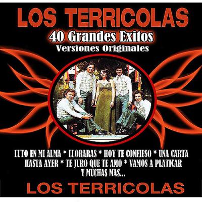 40 Grandes Exitos (2cd)