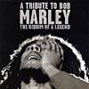 A Tribute To Bob Marley: The Riddim Of A Legend (remaster)