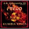 A.b. Quintanilla Iii Presents Fuego (includes Dvd)