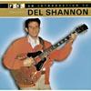 An Introductipn To Del Shannon (remaster)