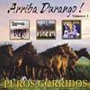 Arriba Durango, Vol.2: Puros Corridos