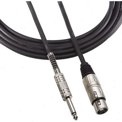 Audio Technica 10' Xlrf - 1/4