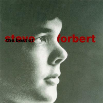 Best Of Steve Forbert: What Kinda Guy?