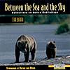 Between The Sea And The Sky: The Bear