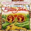 Commander Fantastic: Tribute To Elton John