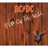 Fly On The Wall (digi-pak) (remaster)