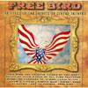 Freebird: The Steel Guitar To Lynyrd Skynyrd