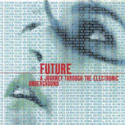 Future: A Journey Through The Electronic Underground (2cd)