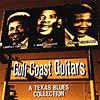 Gulf Coast Guitars: A Texas Blues Collection