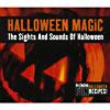 Halloween Magic: The Sights And Sounds Of Halloween (includes Dvd) (digi-pak)