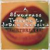 Heartbreakrr: A Bluegrass Tribute To Jo Dee Messina