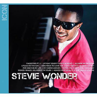 Icon Series: Stevie Wonder