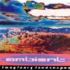 Imaginary Landscapes: A Brief History Of Ambient, Vol.2 (2cd)