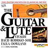 Instruments Of Classical Music Guitar And Flute Vol.10