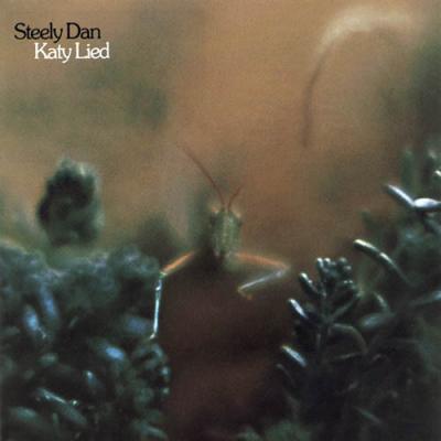 Katy Lied