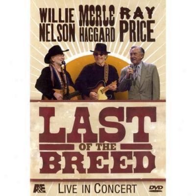 Last Of The Breed Tour (music Dvd)